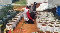 BERITA MADAS_20260103_231139_0000