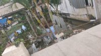 IMG-20260203-WA0135