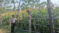 IMG-20260619-WA0020