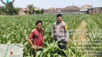 IMG-20260919-WA0005